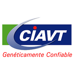 ciavt.png