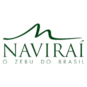 navirai.png