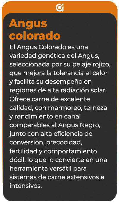 Reverso