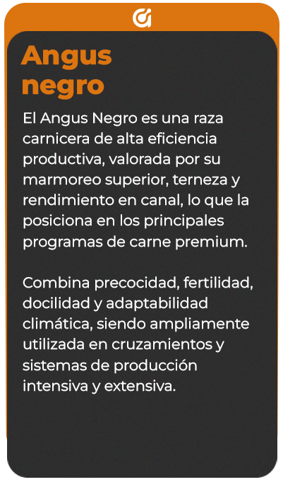 Reverso