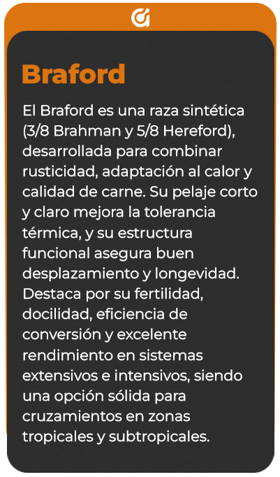 Reverso