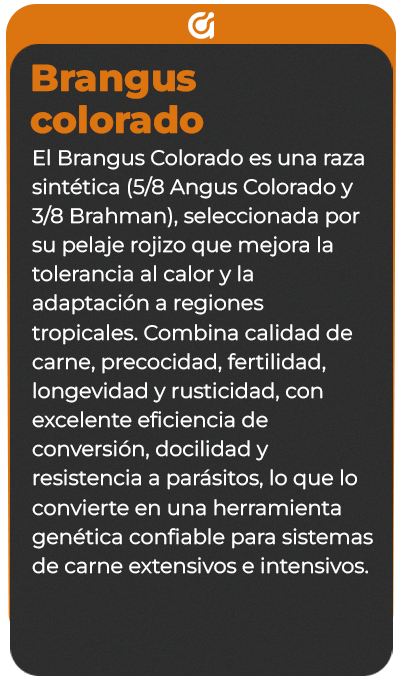 Reverso