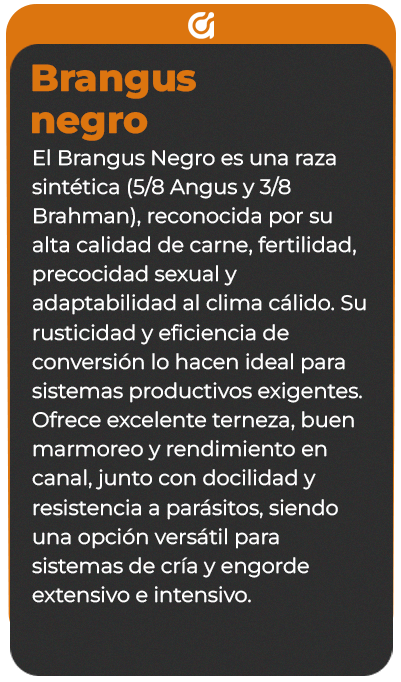 Reverso