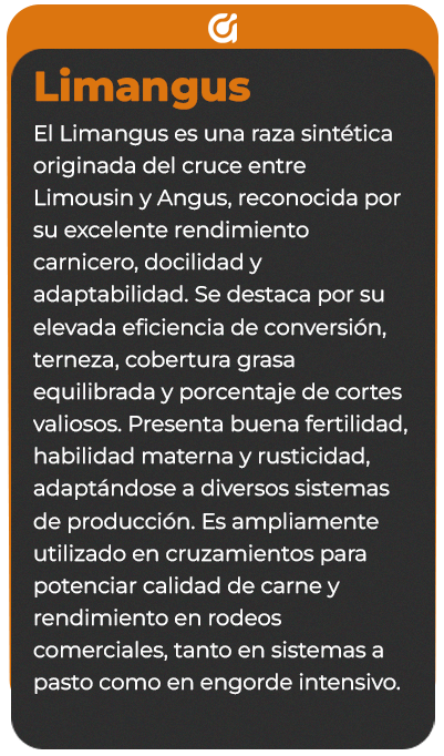 Reverso