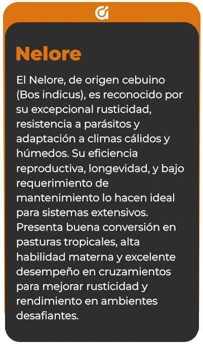 Reverso